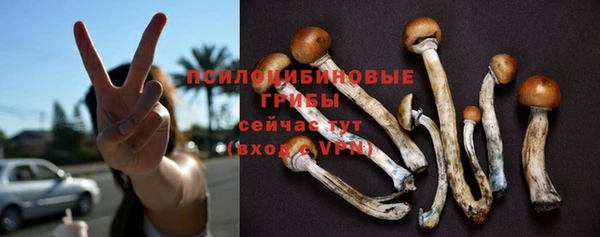 крисы Алзамай
