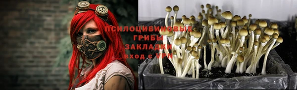 мяу мяу кристалл Алексеевка