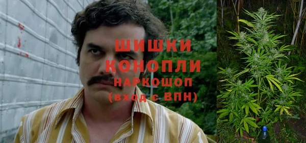 a pvp Алексин